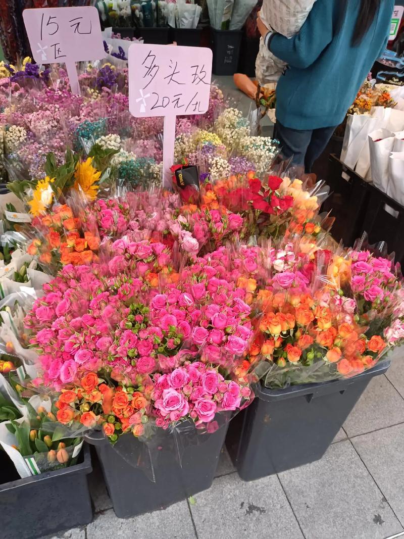 深圳荷蘭花卉小鎮 花的世界，花的海洋，群芳競艷百花齊放